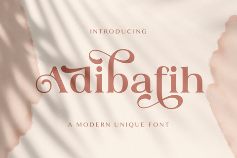 Adibafih - Casual Serif Font Font StringLabs 