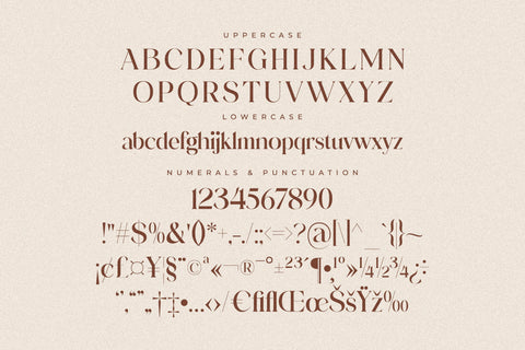 Adorage Typeface Font Storytype Studio 