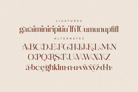Adorage Typeface Font Storytype Studio 