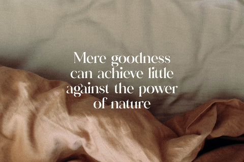 Adorage Typeface Font Storytype Studio 