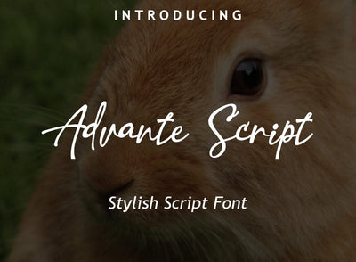 Advante Script Font Font Leamsign Studio 