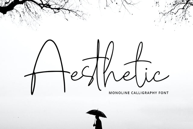 Aesthetic - Monoline Calligraphy Font Font Alpaprana Studio 