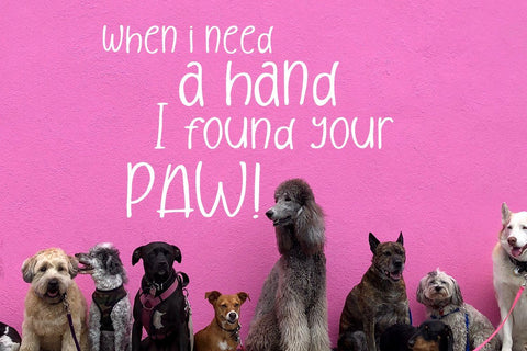 After Sunset Handwritten Condensed Font Creatype Studio 