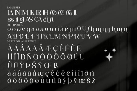 Aftesto Typeface Font Storytype Studio 