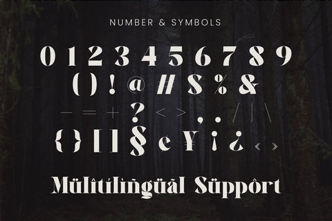 Agaleoz - Serif Display Font Irvan Randi 