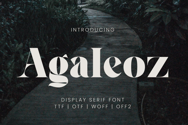 Agaleoz - Serif Display Font Irvan Randi 