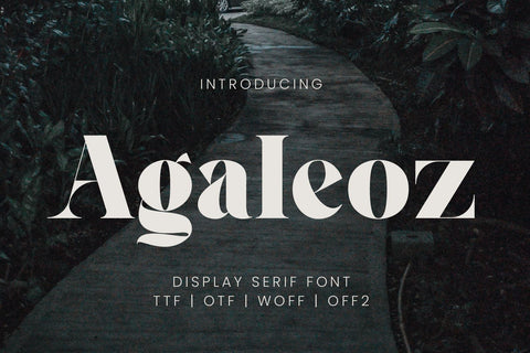 Agaleoz - Serif Display Font Irvan Randi 