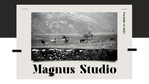 Agaleoz - Serif Display Font Irvan Randi 