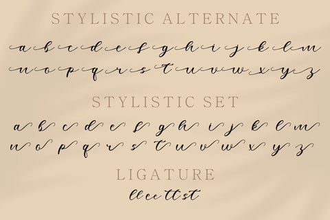 Agatha Handwritten Font Font Skiiller_Std 