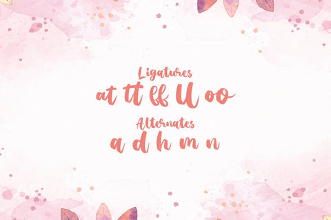 Agil Script - Handwritten Font Font StringLabs 