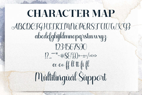 Agilia Font Letterena Studios 