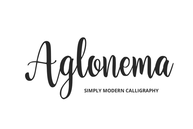 Aglonema Font Abo Daniel Studio 