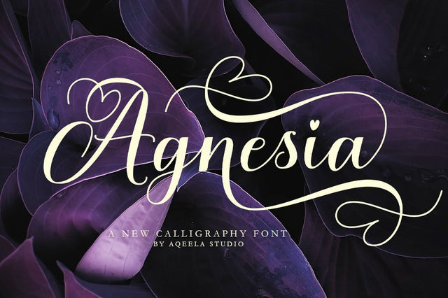 Agnesia Font azkiyaazka026 