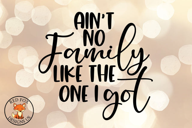 Ain't No Family Like The One I got SVG | Funny Family Quotes SVG RedFoxDesignsUS 