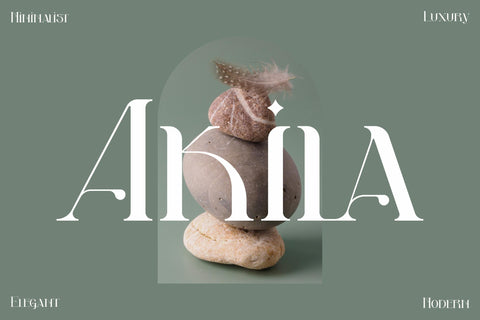 Akila Typeface Font Storytype Studio 