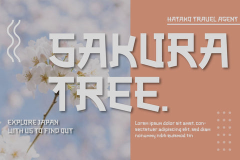 Akisa Faux Japanese Font Font twinletter 