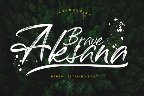 Aksana Brush Script Font Creatype Studio 