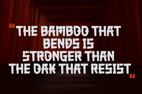 AKUMARU - Japanese style font Font twinletter 