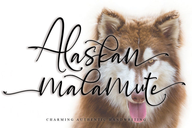 Alaskan malamute Font Letterara 