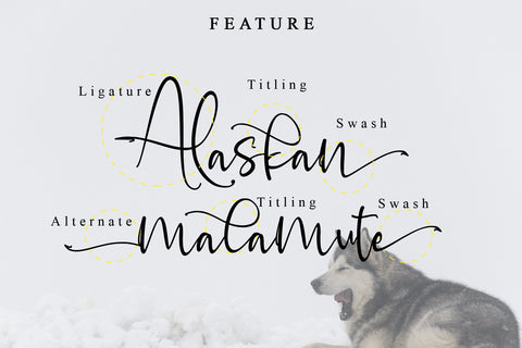 Alaskan malamute Font Letterara 
