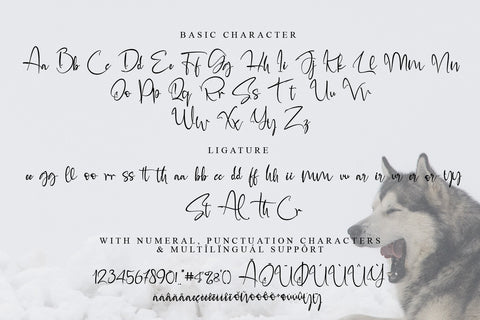 Alaskan malamute Font Letterara 