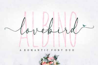 Albino Lovebird Font RCKY STUDIO 