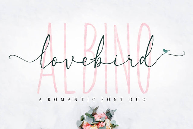 Albino Lovebird Font RCKY STUDIO 
