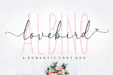 Albino Lovebird Font RCKY STUDIO 