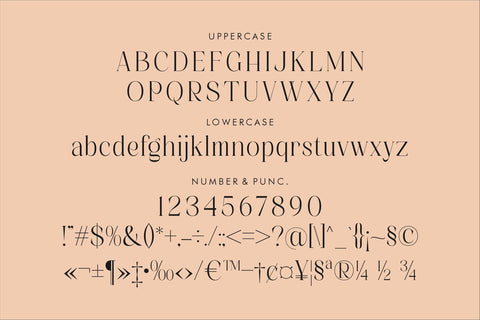 Alchadera Typeface Font Storytype Studio 