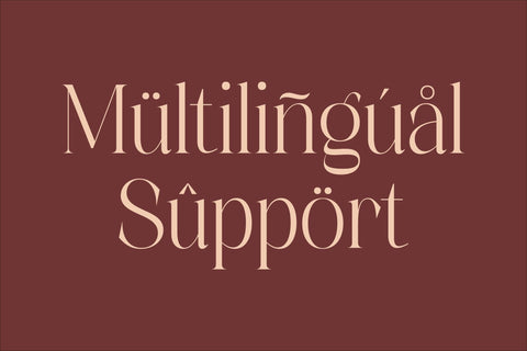 Alchadera Typeface Font Storytype Studio 