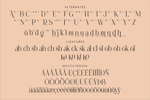 Alchadera Typeface Font Storytype Studio 