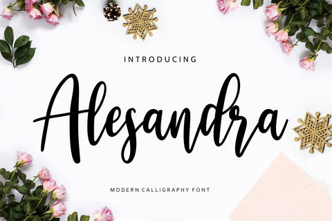 Alesandra Modern Calligraphy Font Creatype Studio 