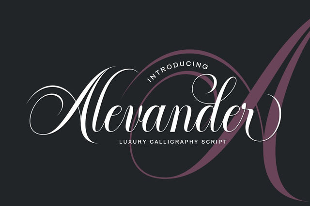 Alevander Script Font Rotterlab studio 
