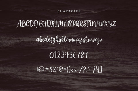 Aliandra Beautiful Font Font Lyth Creative 