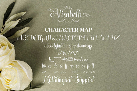 Alisabeth Font Letterena Studios 