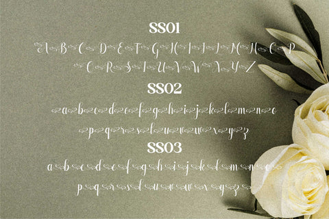 Alisabeth Font Letterena Studios 