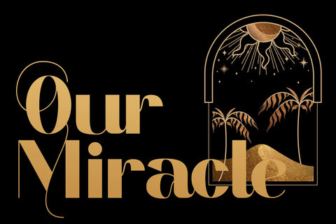 Alisant - Modern Serif Font Font letterbeary 