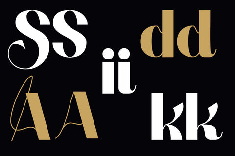 Alisant - Modern Serif Font Font letterbeary 