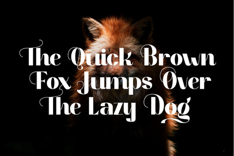 Alisant - Modern Serif Font Font letterbeary 