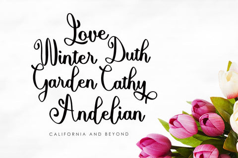 Alishan Script Font gatype 