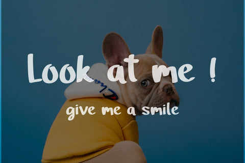 Alista Display Typeface Font Balevgraph Studio 