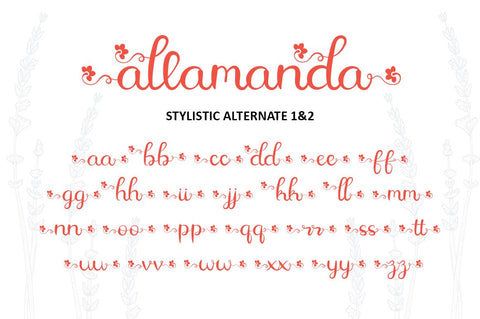 Allamanda Font Illushvara Design 