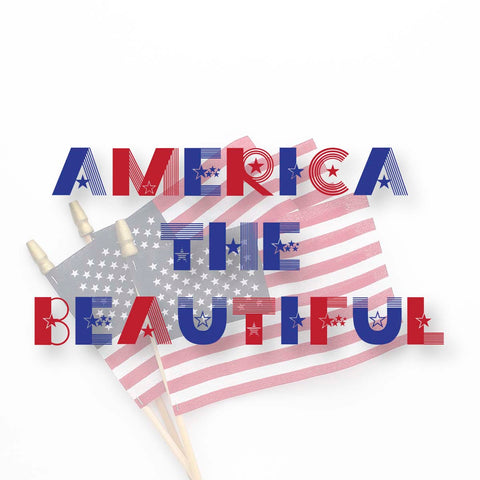 Allegiance Dingbat Font | Patriotic Alphabet | Stars and Stripes Font | Monogram Font Font Maple & Olive Designs 