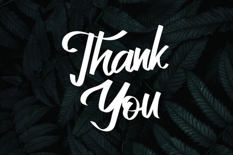 Allenattore Font - Casual Script Font Kotak Kuning Studio 