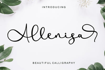 Allenisa Font Afandi Studio 