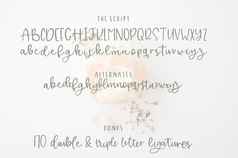Alley Font Duo Font On The Spot Studio 