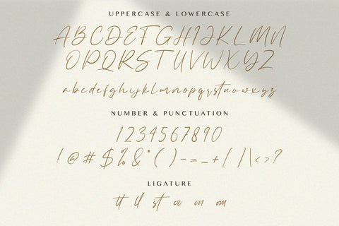 Allezia Sttacy - Handwritten Font Font StringLabs 