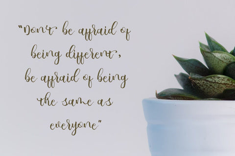 Allicia Script Font Anastasia 