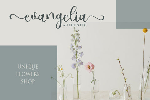 Allicia Script Font Anastasia 