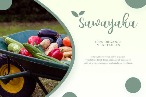 Allicia Script Font Anastasia 